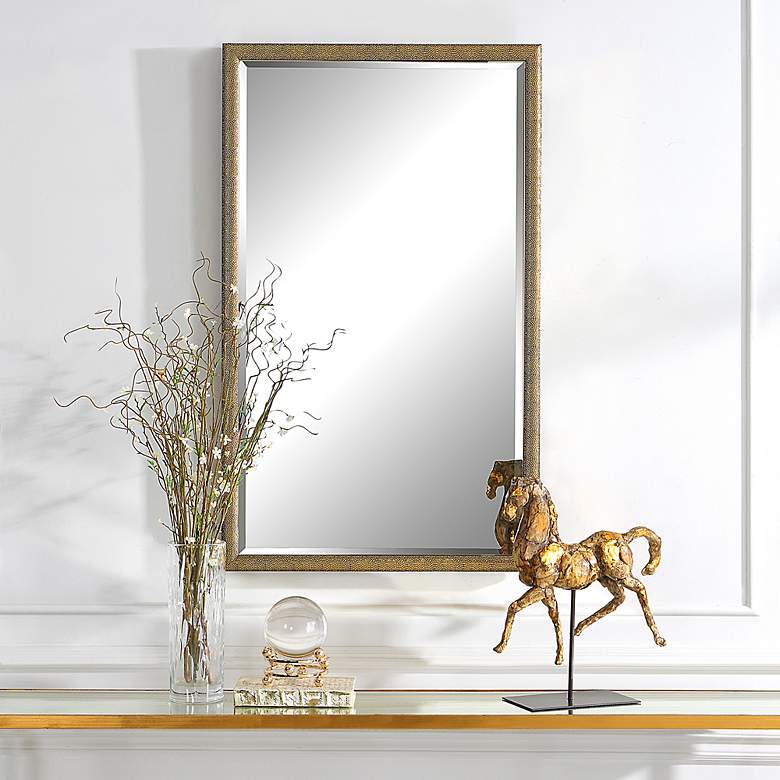 Image 1 Noble Park Coloma 24" x 40" Textured Gold Wall Mirror