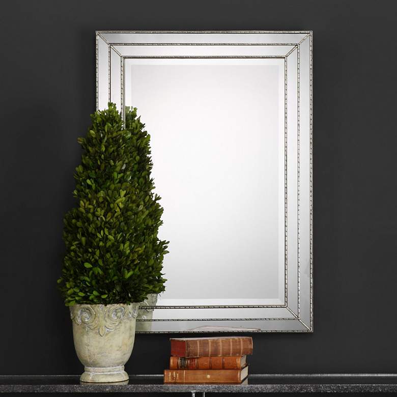 Image 1 Noble Park Elmhurst Metallic Silver 24" x 34" Wall Mirror