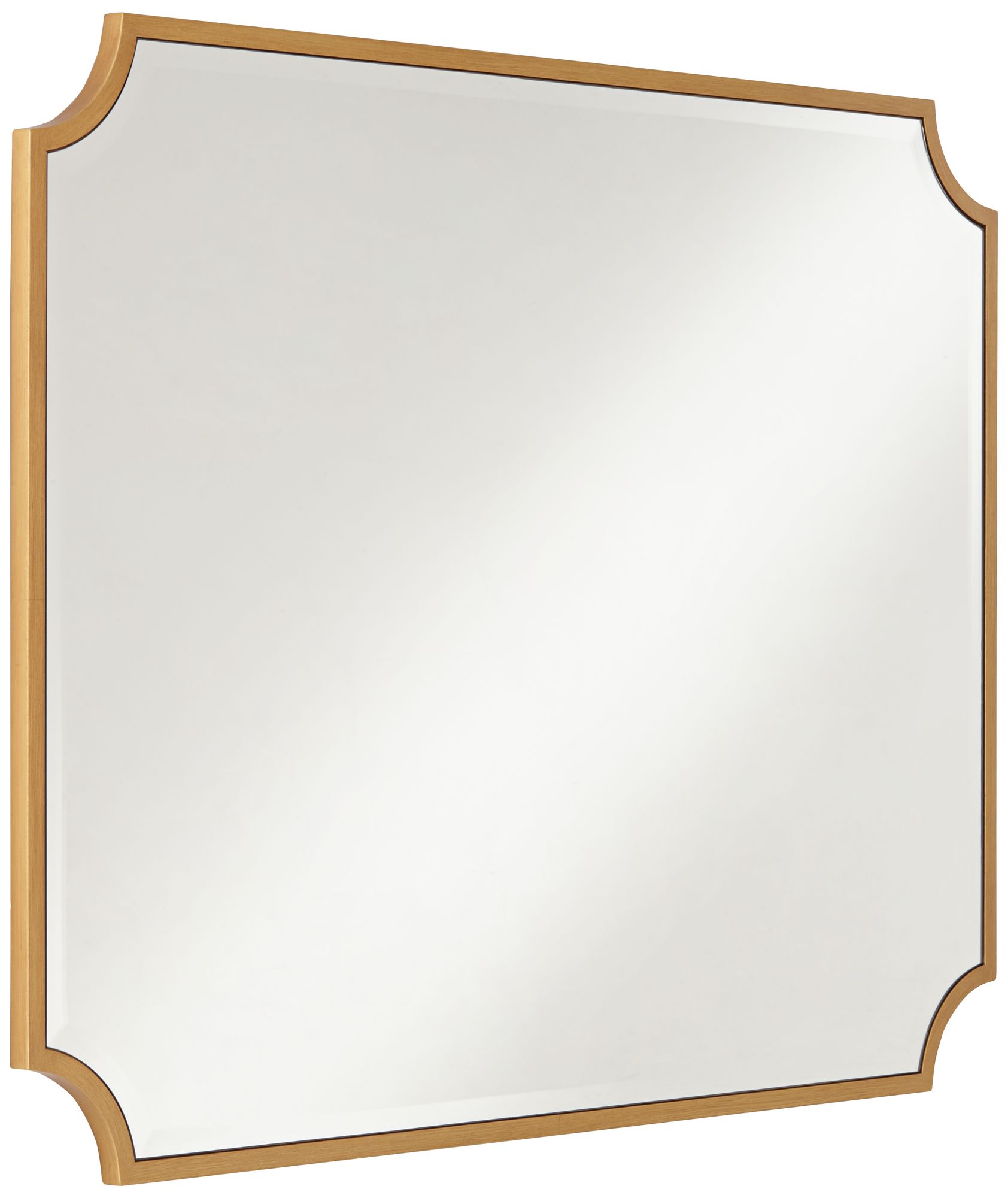 Noble Park Jacinda 40" x 30" Cut Edge Antique Gold Wall Mirror