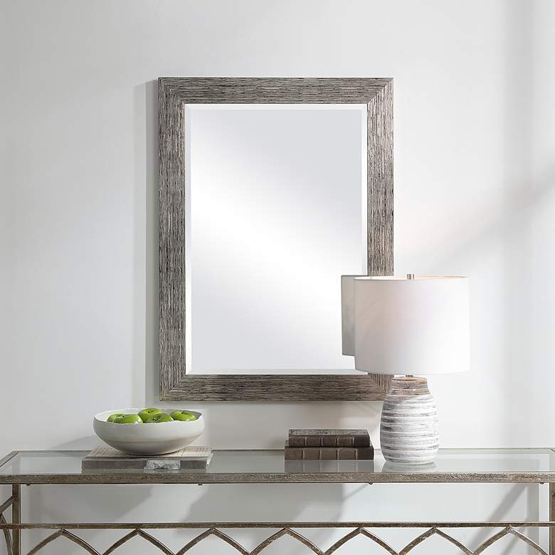 Image 1 Noble Park Meadowview Silver Toned 26" x 36" Wall Mirror