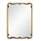 Noble Park Xander Antique Gold 22" x 32" Ornate Wall Mirror