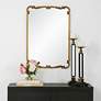 1_Noble Park Xander Antique Gold 22" x 32" Ornate Wall Mirror