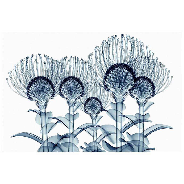 Image 2 Nodding Pincushions 50 3/4"H Tempered Glass Graphic Wall Art