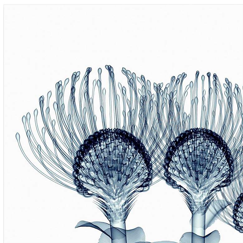 Image 3 Nodding Pincushions 50 3/4"H Tempered Glass Graphic Wall Art more views