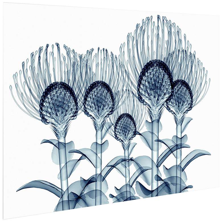 Image 4 Nodding Pincushions 50 3/4"H Tempered Glass Graphic Wall Art more views