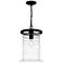Noland 1-Light Matte Black Mini Pendant Light