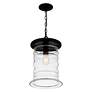 4_Noland 1-Light Matte Black Mini Pendant Light more views