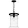 Noland 1-Light Matte Black Outdoor Hanging Lantern