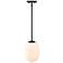 Noor 60 Watt 1-Light Matte Black Modern Pendant Light