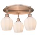 Innovations Lighting Norfolk Copper Collection