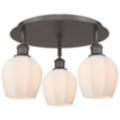 Innovations Lighting Norfolk Bronze Collection