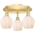 Innovations Lighting Norfolk Gold Collection