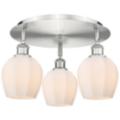 Innovations Lighting Norfolk Silver Collection