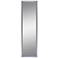 Northwood Taupe 13 1/2" x 49 1/2" Wall and Door Mirror