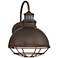 Norton 14" High Bronze Caged RLM Outdoor Wall Light