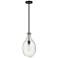 Norwalk 9" Matte Black Stem Hung Mini Pendant w/ Seedy Shade
