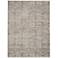 Nourison Royal Terrace KI43 Beige Gray Area Rug