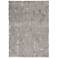 Nourison Royal Terrace KI45 Silver White Area Rug