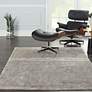 1_Nourison Ki40 Royal Terrace 5'3" x 7'3" Silver Indoor Rug