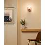 6_Nouveau Wall Sconce - Canyon Clay - BN more views