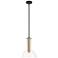 Nova 10 in. 1-Light Matte Black Modern Pendant Light