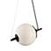 Nova 17" Wide Anodized Black Globe Pendant Light