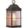 Nuvo Lighting Howell 14 1/4" High Bronze Outdoor Lantern Wall Light