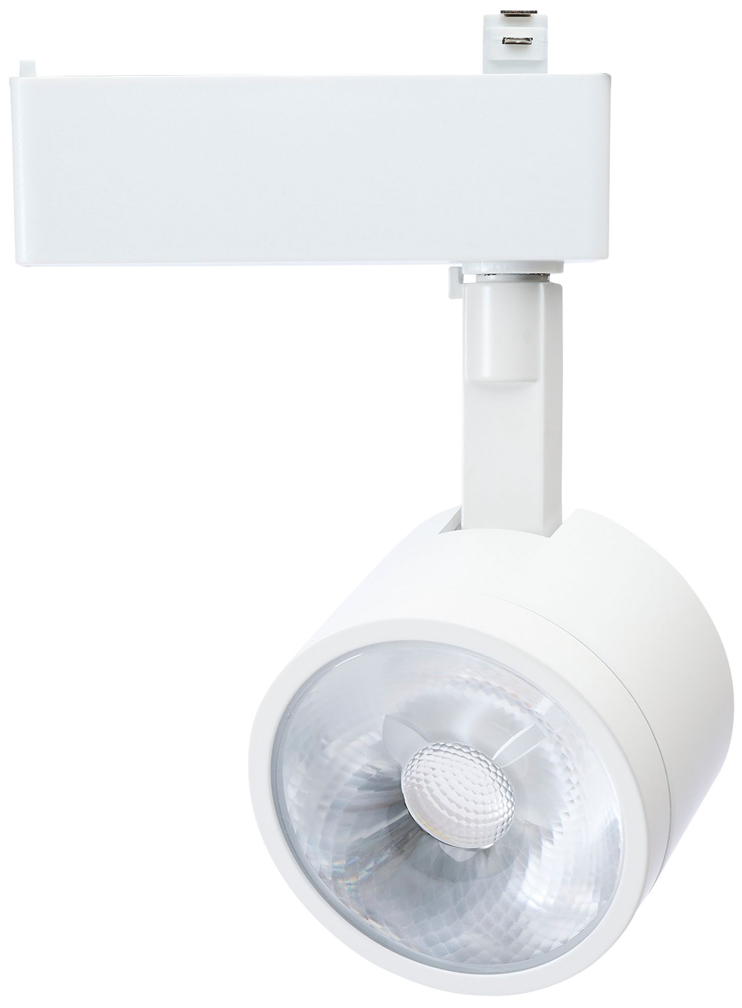 Nuvo Starfish White Collection