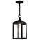 Nyack 14 1/2" High Black Outdoor Hanging Light