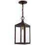 3_Nyack 14 1/2" High Bronze Outdoor Hanging Ceiling Light