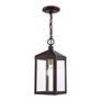 Nyack 14 1/2" High Bronze Outdoor Hanging Ceiling Light in scene
