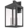 2_Nyack 21 3/4"H Gray and Nickel 3-Light Outdoor Wall Light