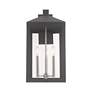 5_Nyack 21 3/4"H Gray and Nickel 3-Light Outdoor Wall Light more views