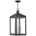 Livex Lighting Nyack Black Collection