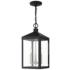 Nyack 3 Light Black Outdoor Pendant Lantern