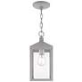 Nyack 6 1/4"W Nordic Gray Outdoor Lantern Mini Pendant Light