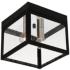 Nyack 8" Wide Black Outdoor Ceiling Light