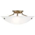 Livex Lighting Oasis Brass - Antique Brass Collection