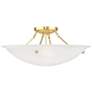 3_Oasis 24" Wide Polished Brass Celling Light