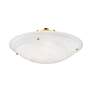 5_Oasis 24" Wide Polished Brass Celling Light more views
