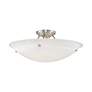 5_Oasis 24"W Brushed Nickel Ceiling Light w/ Alabaster Glass more views