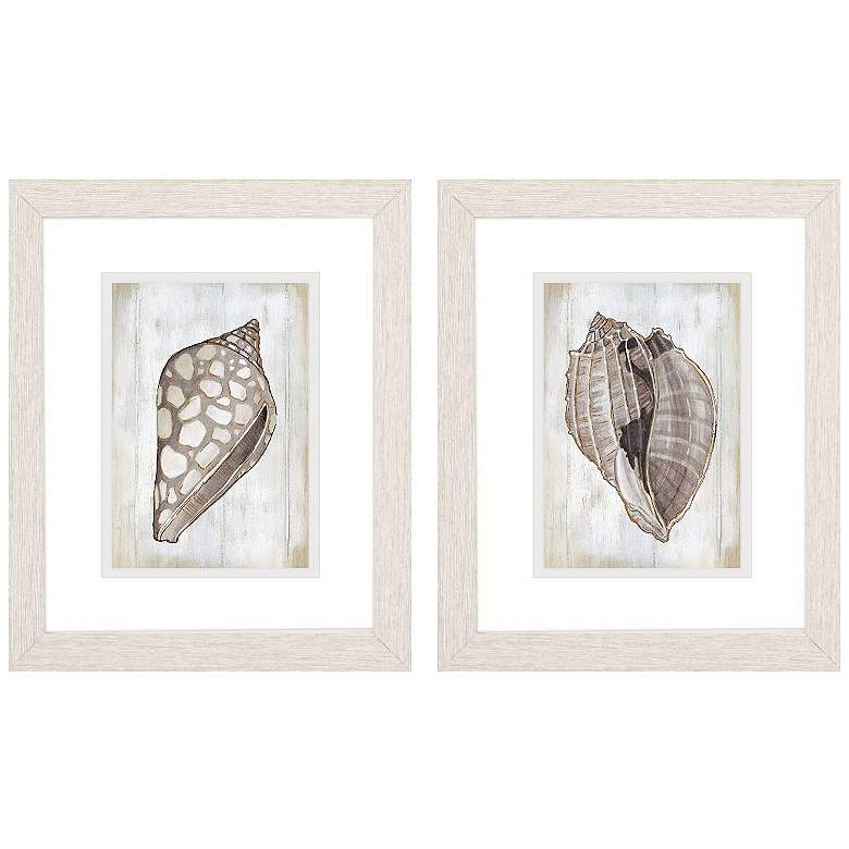 Image 1 Ocean Cone 9"W x 11"H Framed Art Set of 2