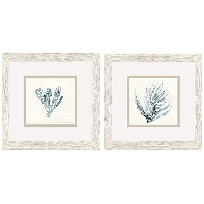 Image 1 Ocean Flora 11"W x 11"H Framed Art Set of 2