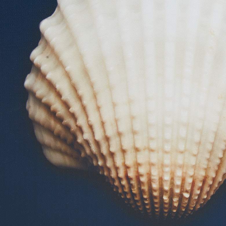 Image 5 Ocean Seashells 12" Square 4-Piece Canvas Wall Art Set more views