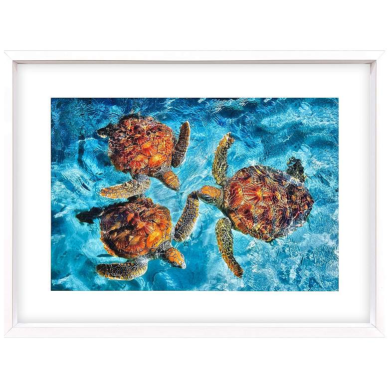 Image 1 Ocean Turtles 46"W x 34"H Framed Art