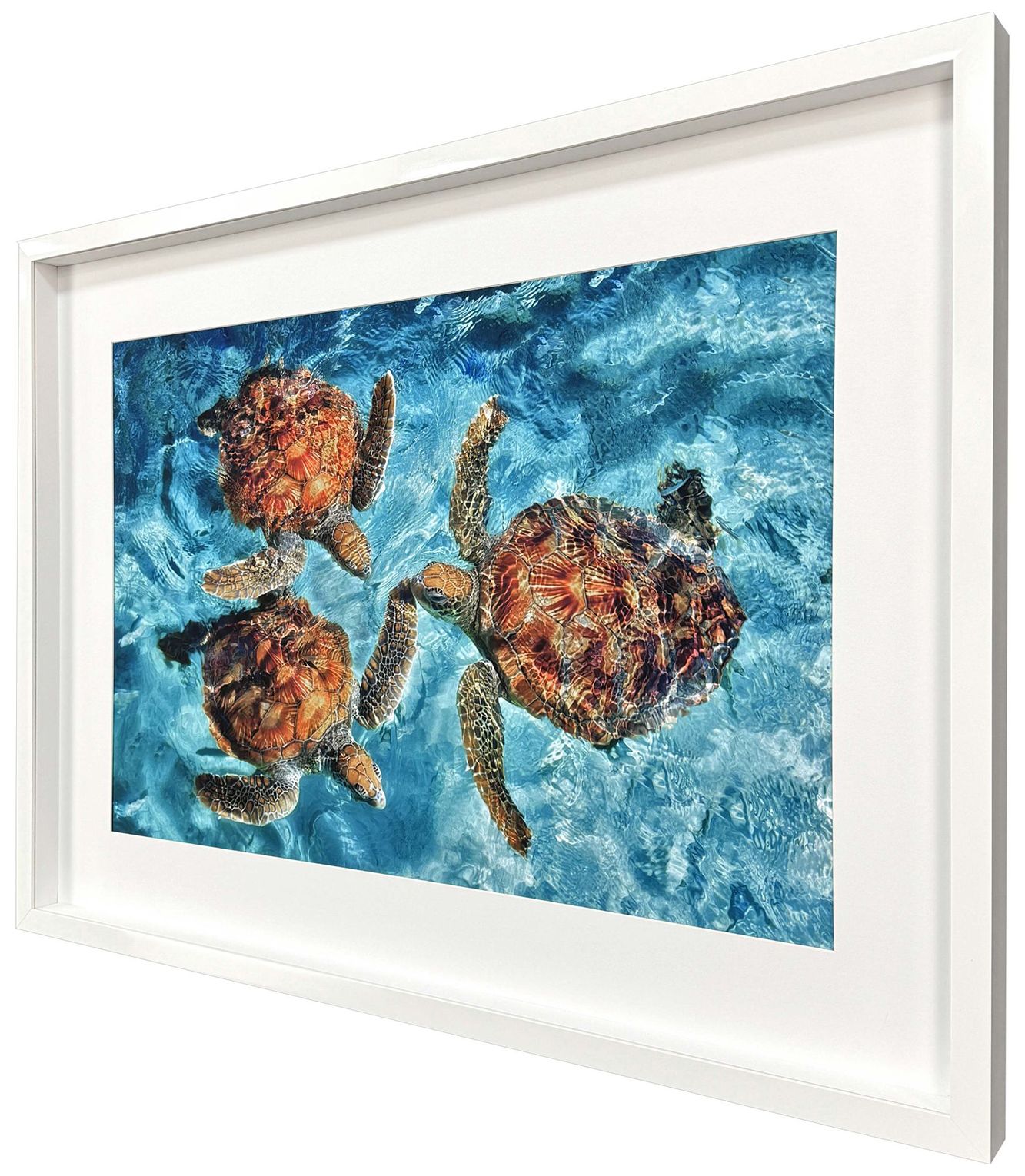Image 3 Ocean Turtles 46"W x 34"H Framed Art more views