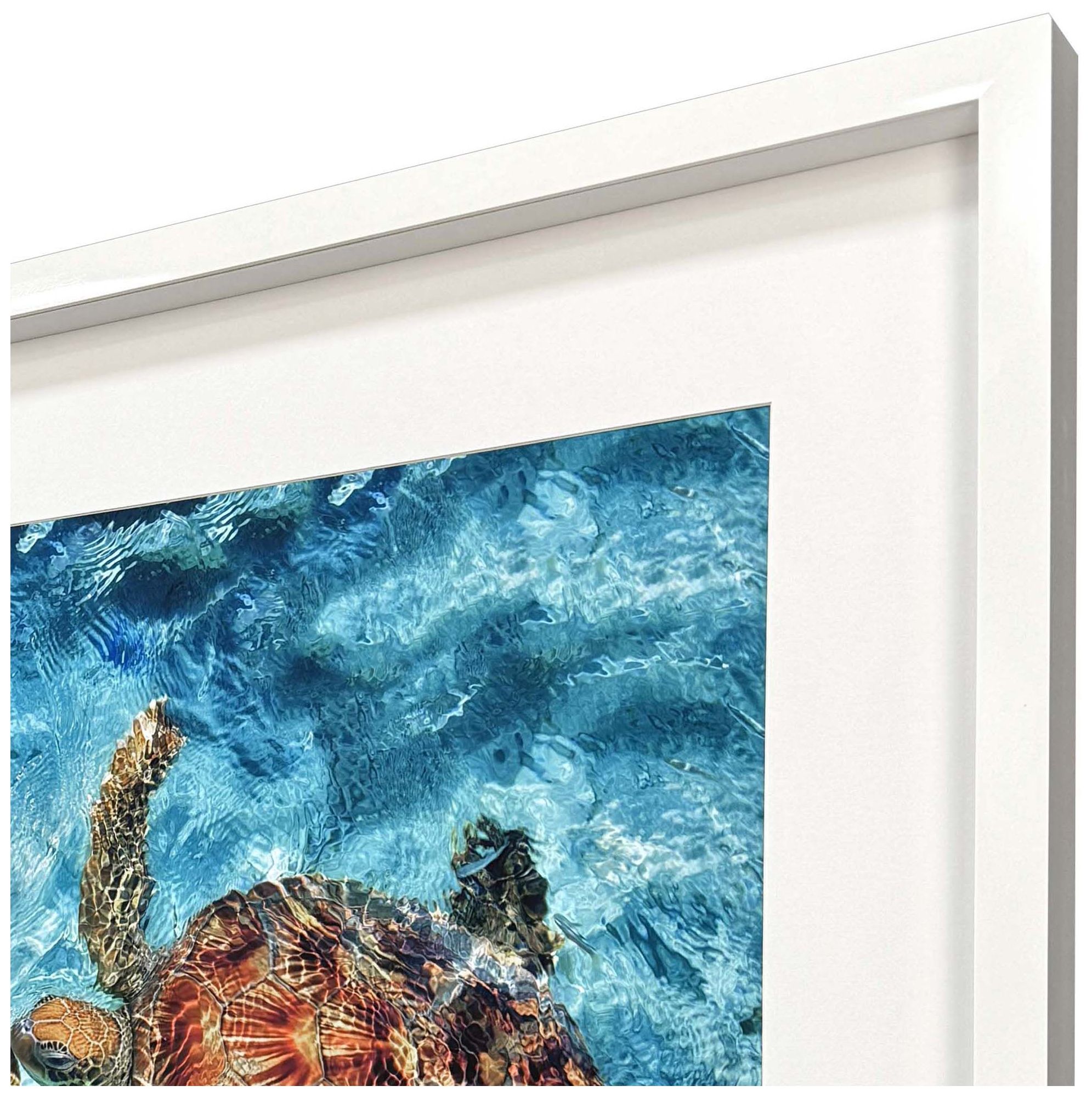 Image 4 Ocean Turtles 46"W x 34"H Framed Art more views