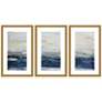 2_Oceania 20"W x 32"H Framed Art Set of 3