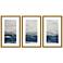 Oceania 20"W x 32"H Framed Art Set of 3