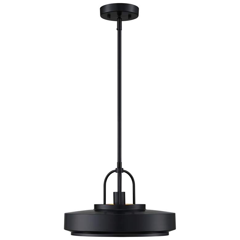 Image 1 Odea 14 in. 1-Light Matte Black Transitional Pendant Light